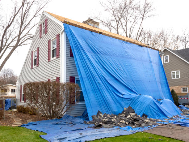 Best Shed Removal  in Andrews, IN